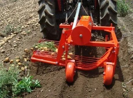 Checchi & Magli SP100