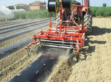 Checchi & Magli AL та PS