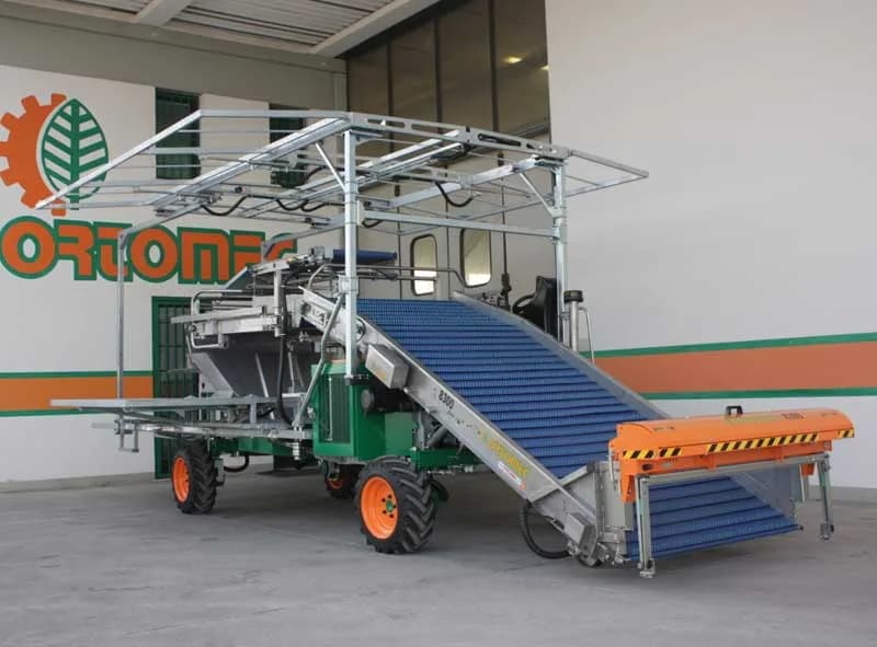 Ortomec 8300 Lattuga