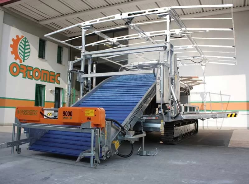 Ortomec 9000 Lattuga