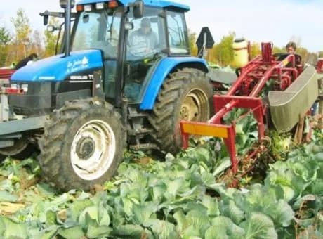 Univerco Cabbage Harvester