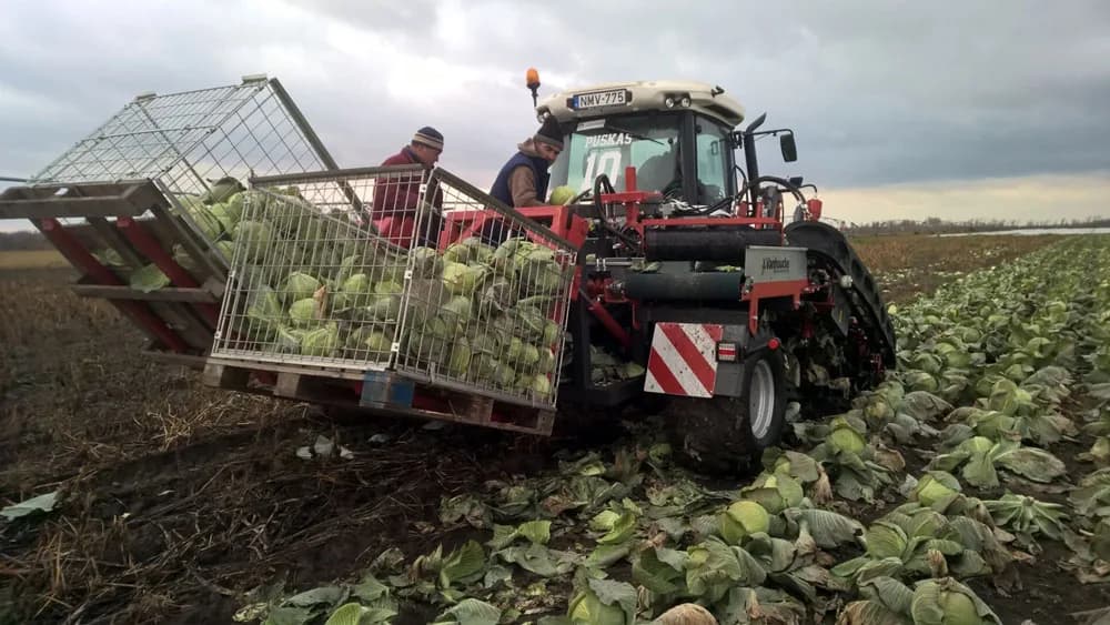 Vanhoucke VITUS Brassica Storage — фото 4