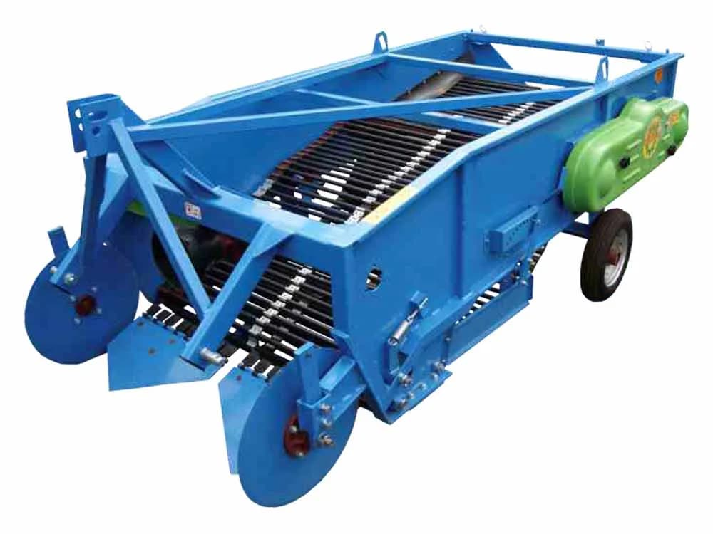 Krukowiak Z653