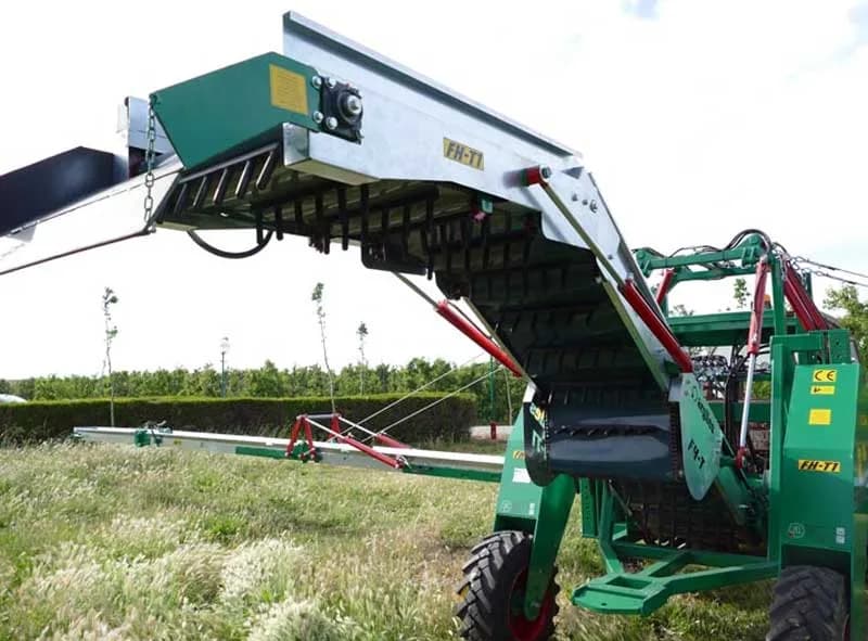 Argiles FH-T1