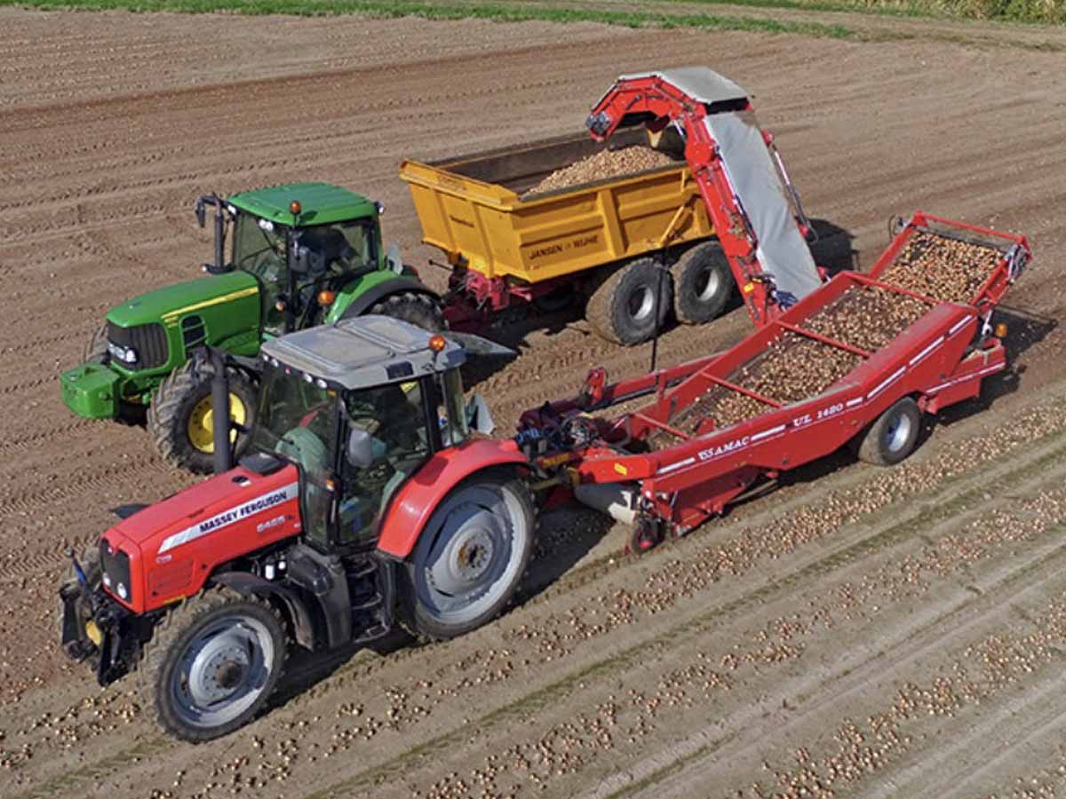 Підбирач цибулі AMAC UL1480